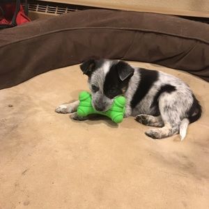 Meet your Posher, Tori